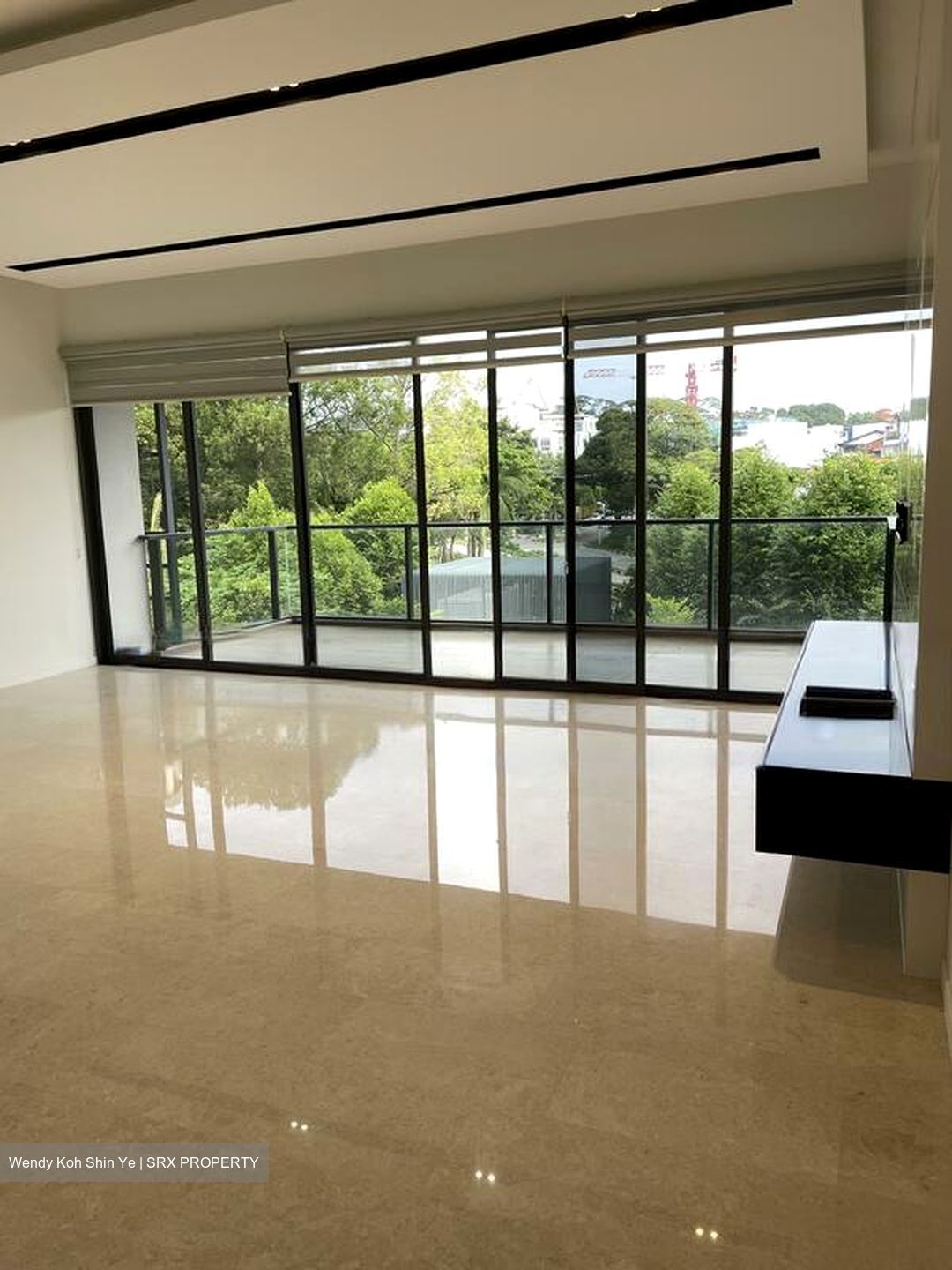 Terrene At Bukit Timah (D21), Condominium #477020911